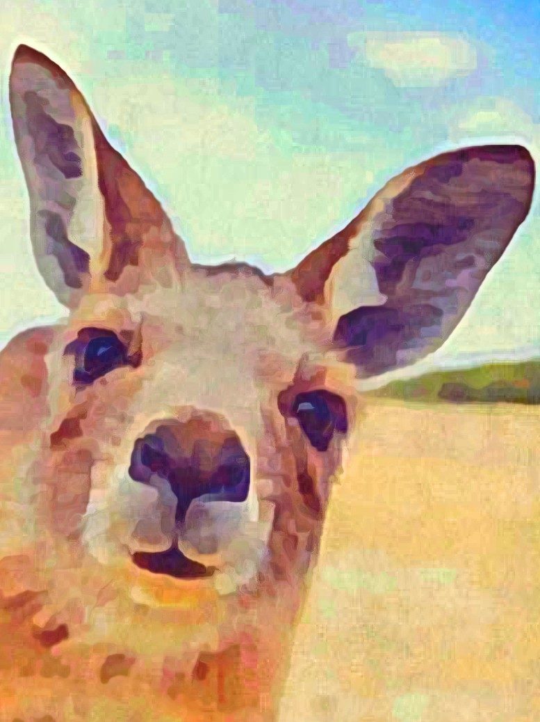 Happy-Kangaroo-Babysitterservice